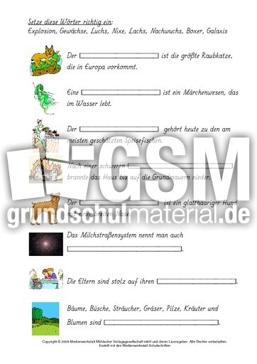 Wörter-mit-chs-x-zuordnen-1.pdf